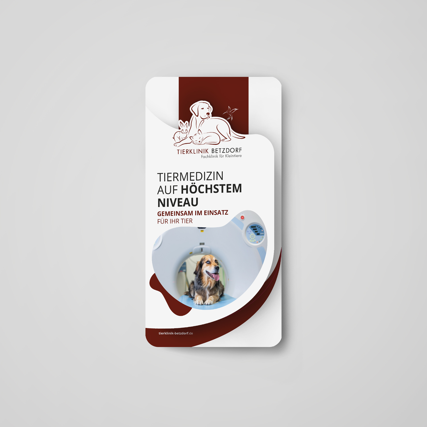 Ein Flyer für die Tierklinik Betzdorf, Design von vyn