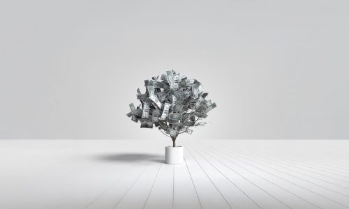 Symbolbild Baum mit Geldblättern: Wie mit B2B SEO dein Business wächst