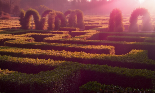 Symbolbild für die SEO Konzeption: Ein Labyrinth aus Hecken